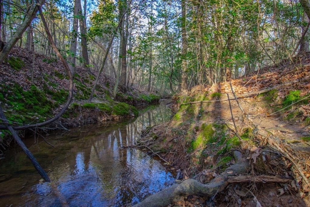 17 acres in Upshur County - photo 20