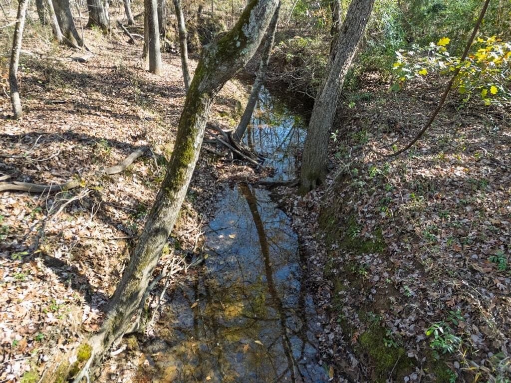 17 acres in Upshur County - photo 29