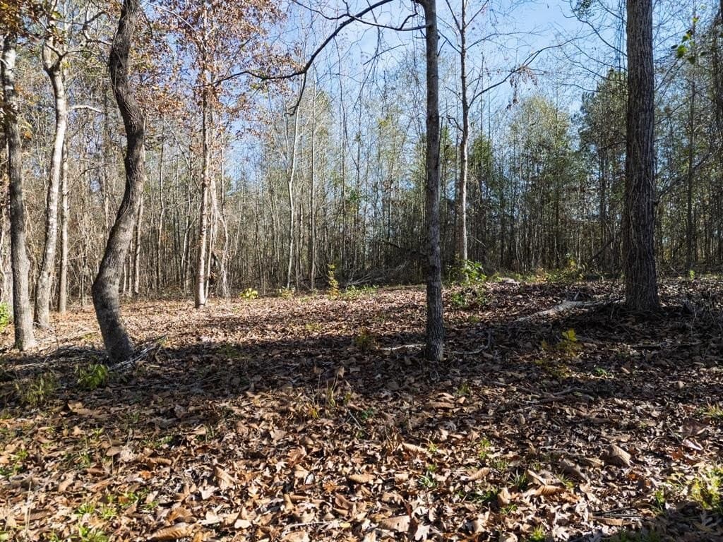 17 acres in Upshur County - photo 9