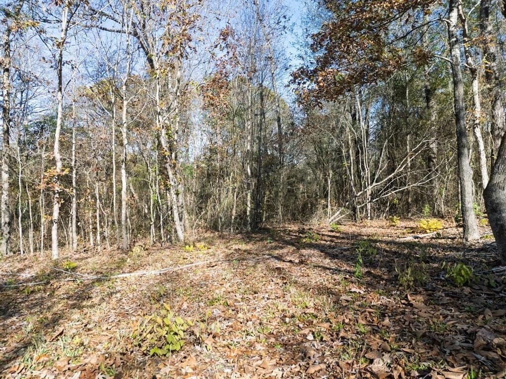 17 acres in Upshur County - photo 15