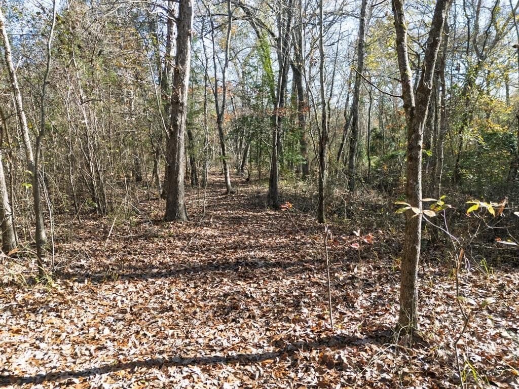 17 acres in Upshur County - photo 31
