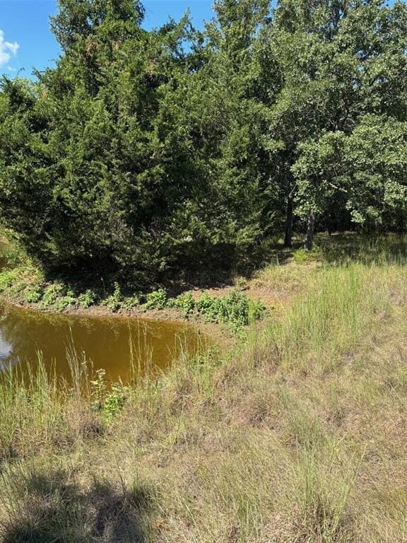 15.16 acres in Hunt County - photo 18