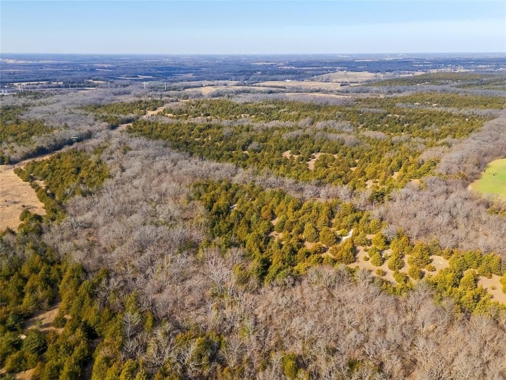 215.5 acres in Fannin County - photo 40