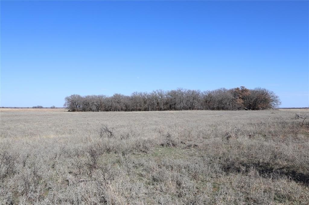 124.79 acres in Clay County - photo 11
