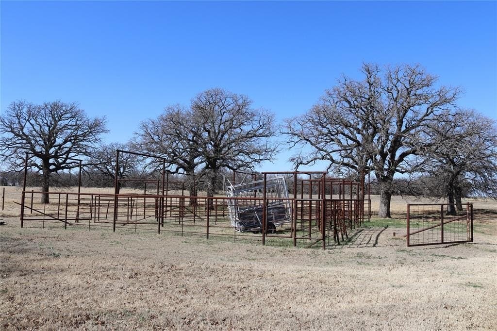 124.79 acres in Clay County - photo 7