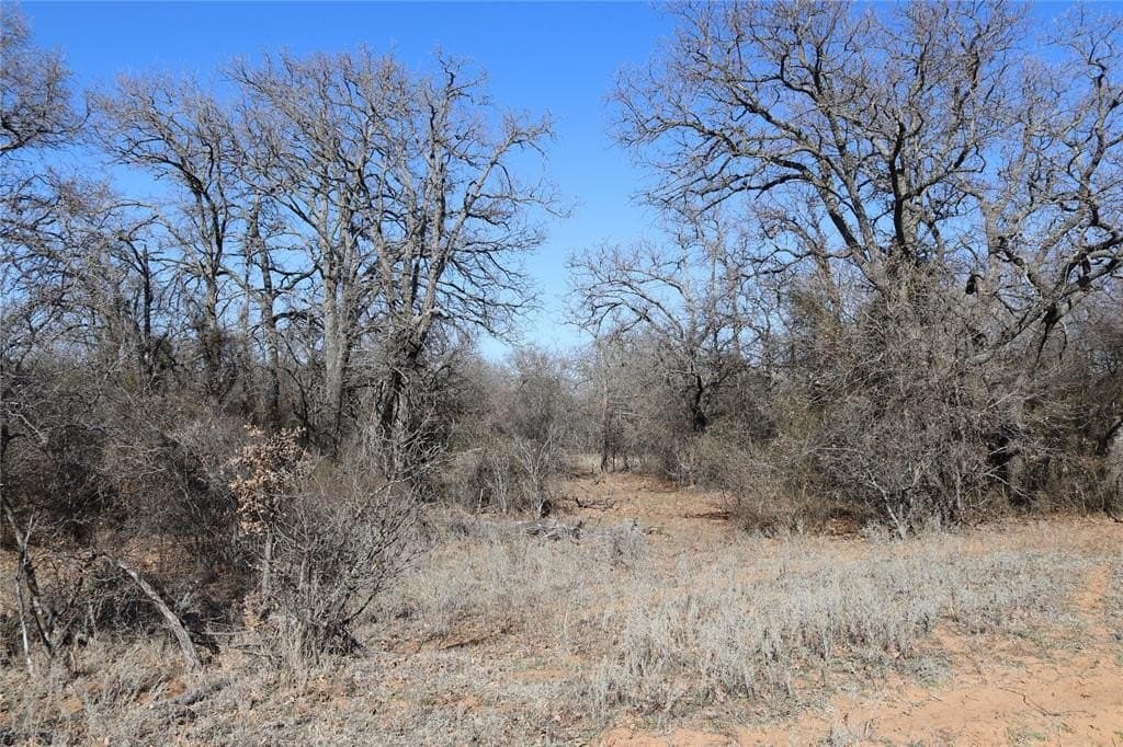 124.79 acres in Clay County - photo 14