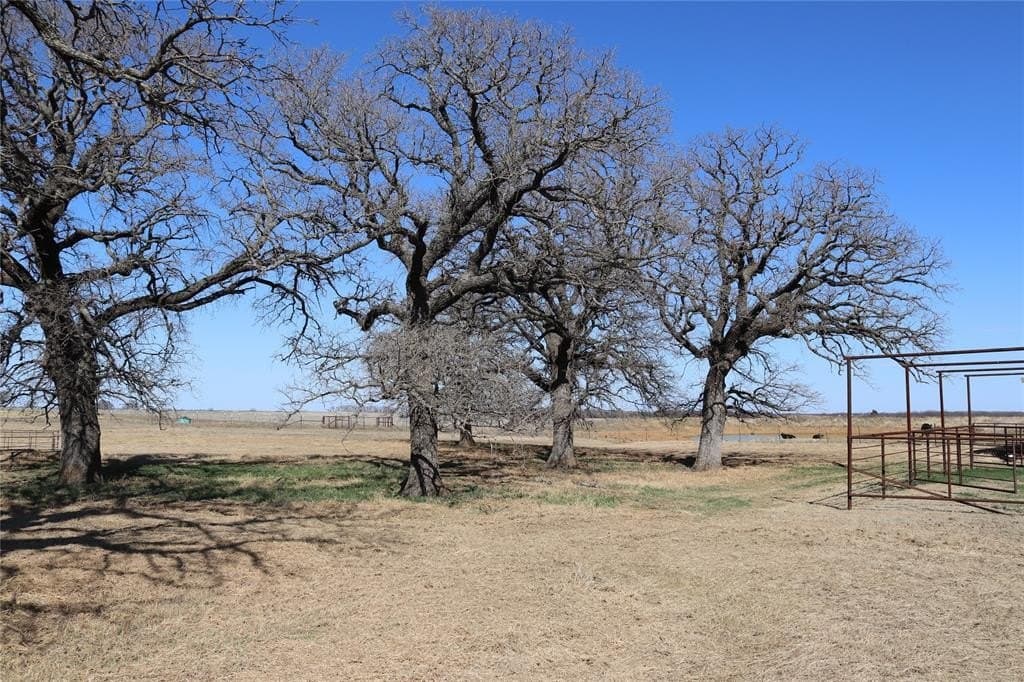124.79 acres in Clay County - photo 8