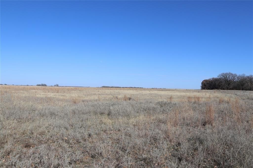 124.79 acres in Clay County - photo 12