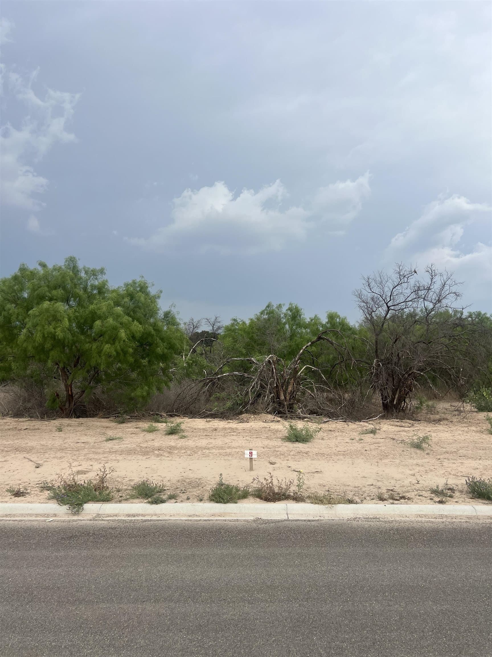 0.45 acres in Val Verde County - photo 2