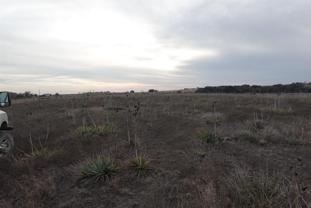 31.9 acres in Erath County - photo 8