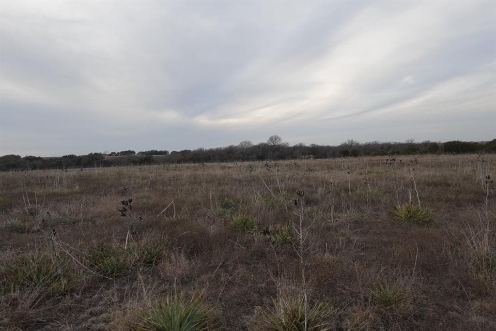 31.9 acres in Erath County - photo 7