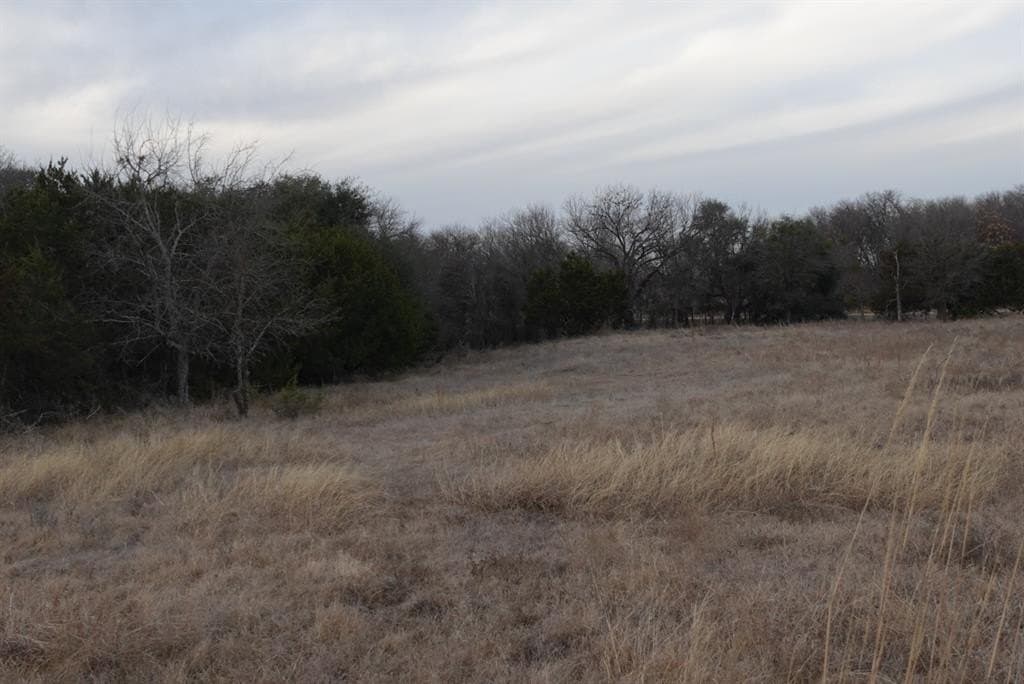 31.9 acres in Erath County - photo 19