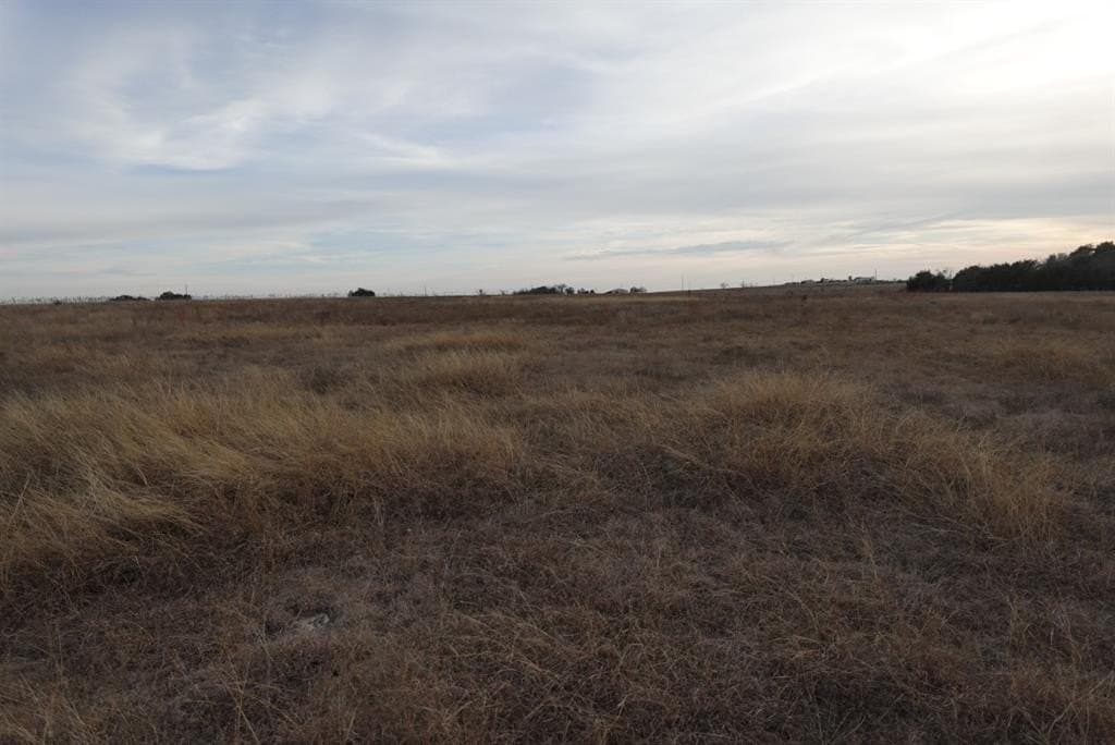 31.9 acres in Erath County - photo 3