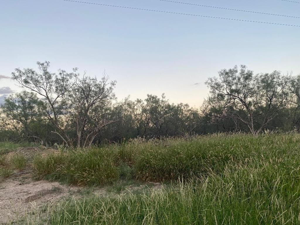 18.25 acres in Maverick County - photo 2