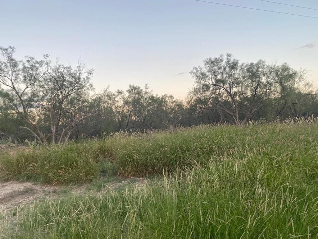 18.25 acres in Maverick County - photo 3