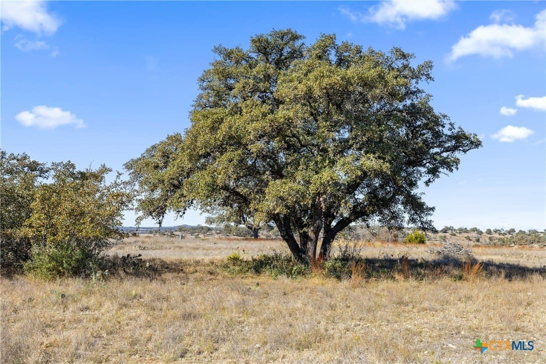 10.23 acres in Blanco County - photo 12