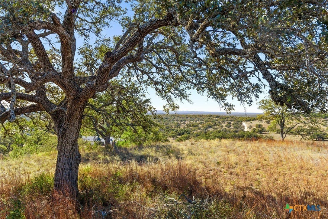 10.23 acres in Blanco County - photo 21
