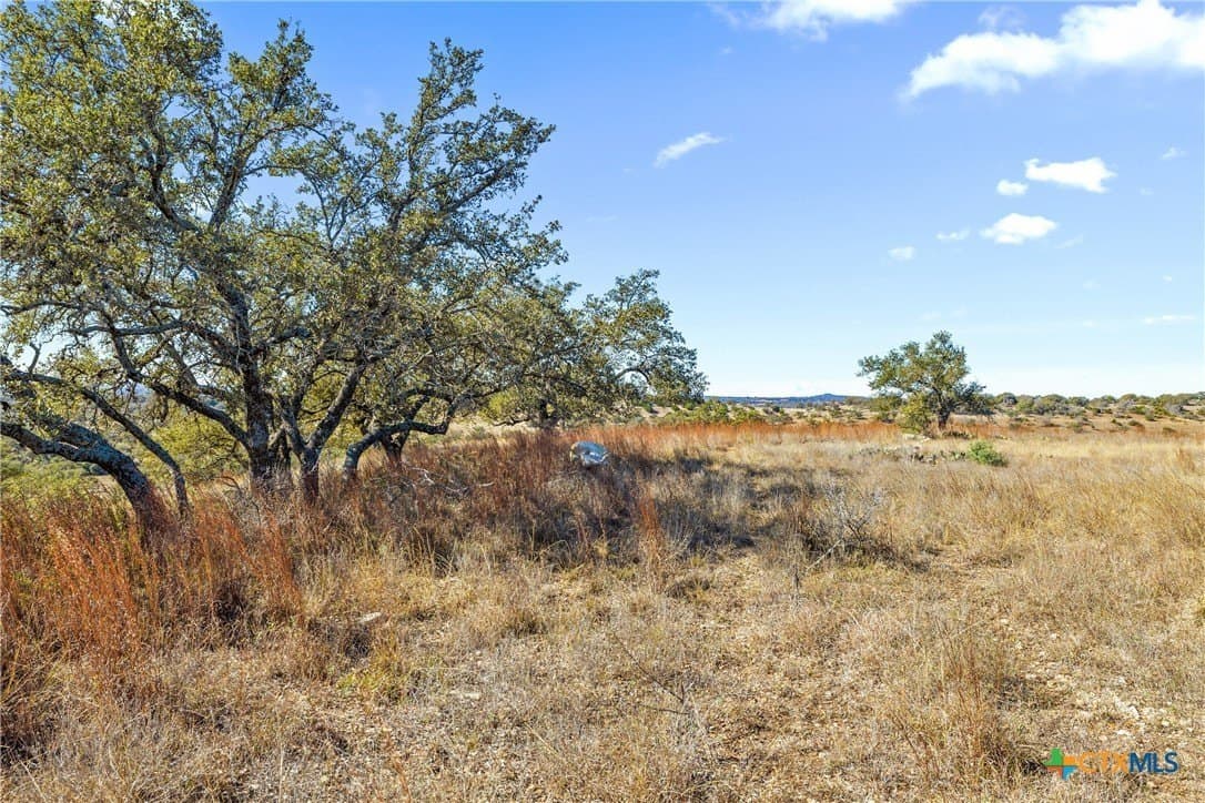 10.23 acres in Blanco County - photo 13