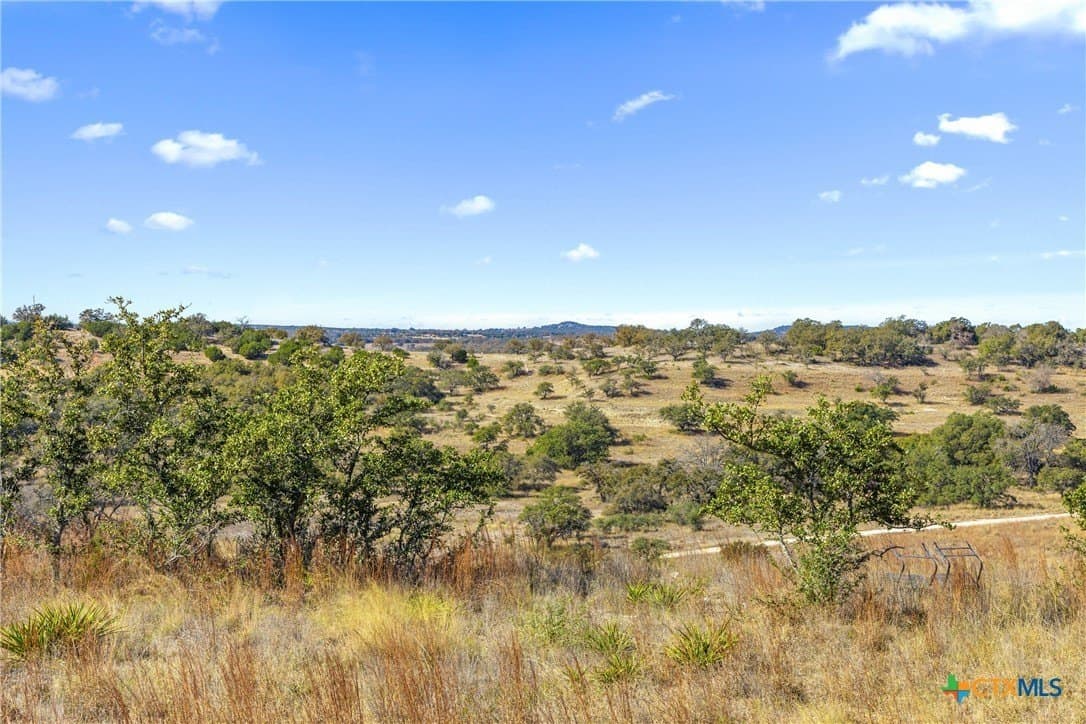 10.23 acres in Blanco County - photo 23
