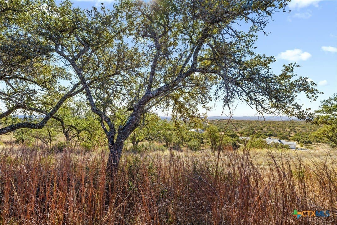 10.23 acres in Blanco County - photo 14