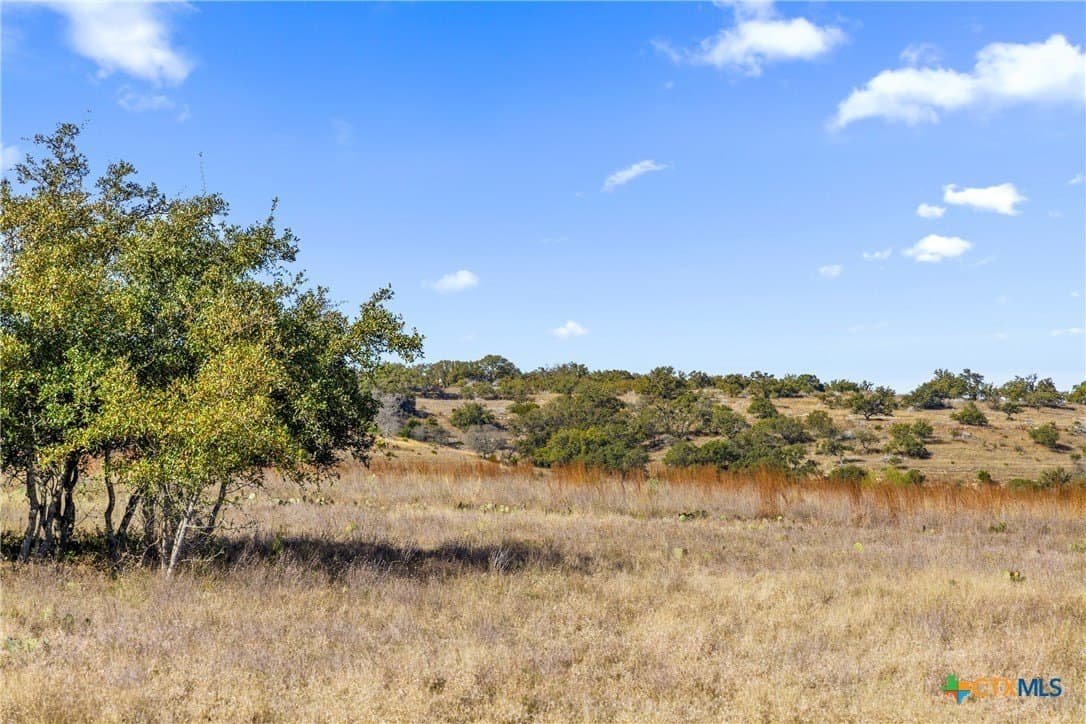 10.23 acres in Blanco County - photo 15