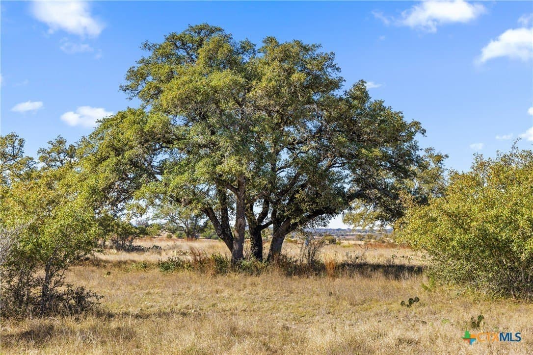 10.23 acres in Blanco County - photo 16