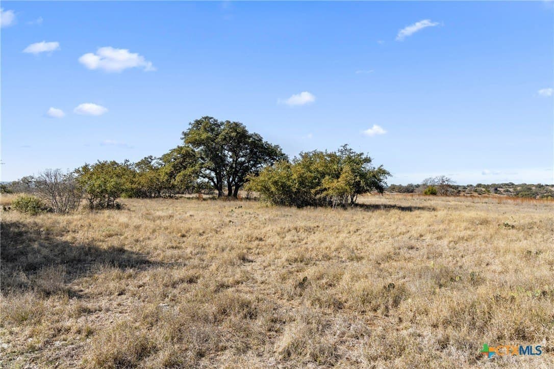 10.23 acres in Blanco County - photo 36