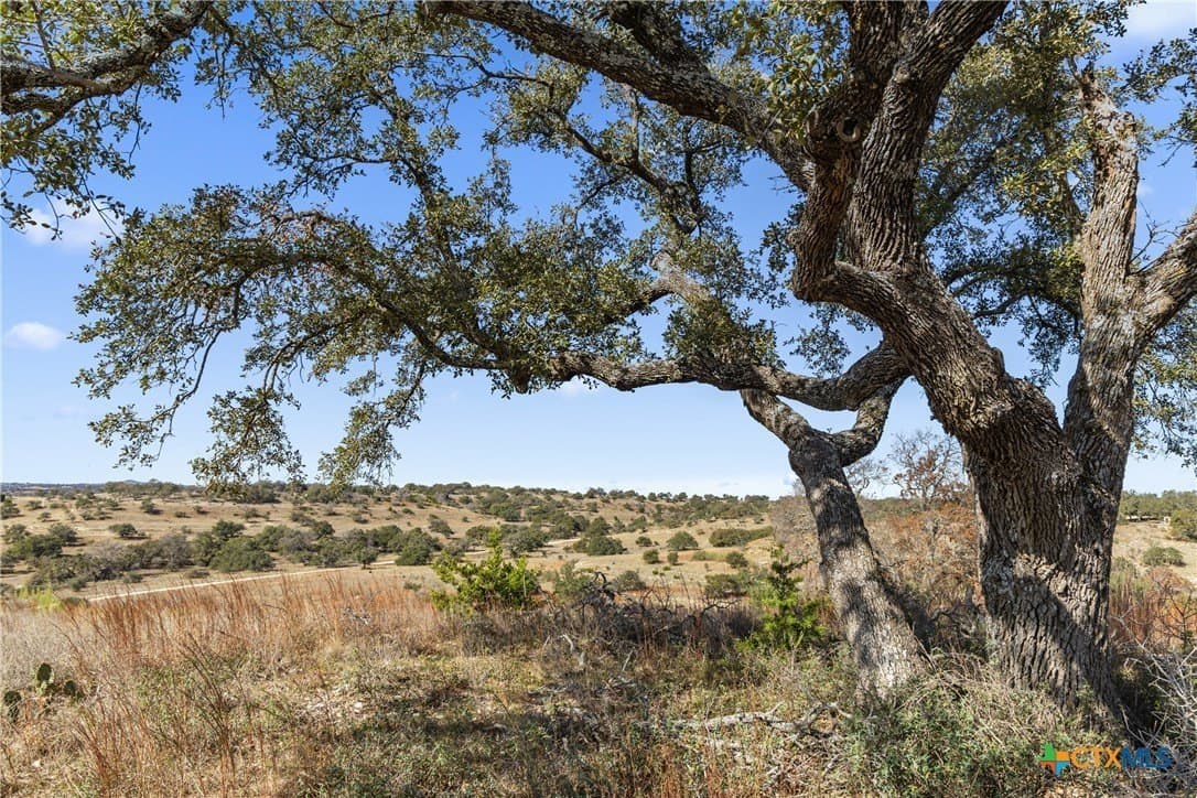 10.23 acres in Blanco County - photo 5