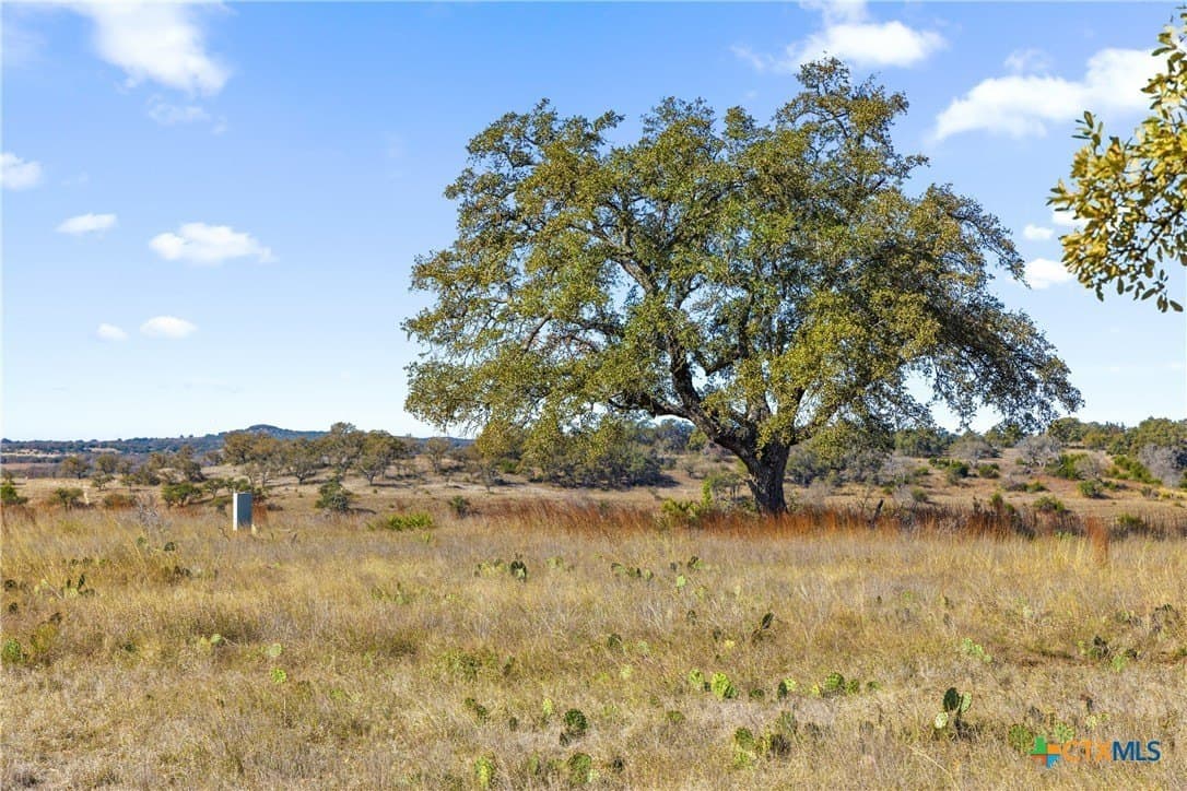 10.23 acres in Blanco County - photo 18
