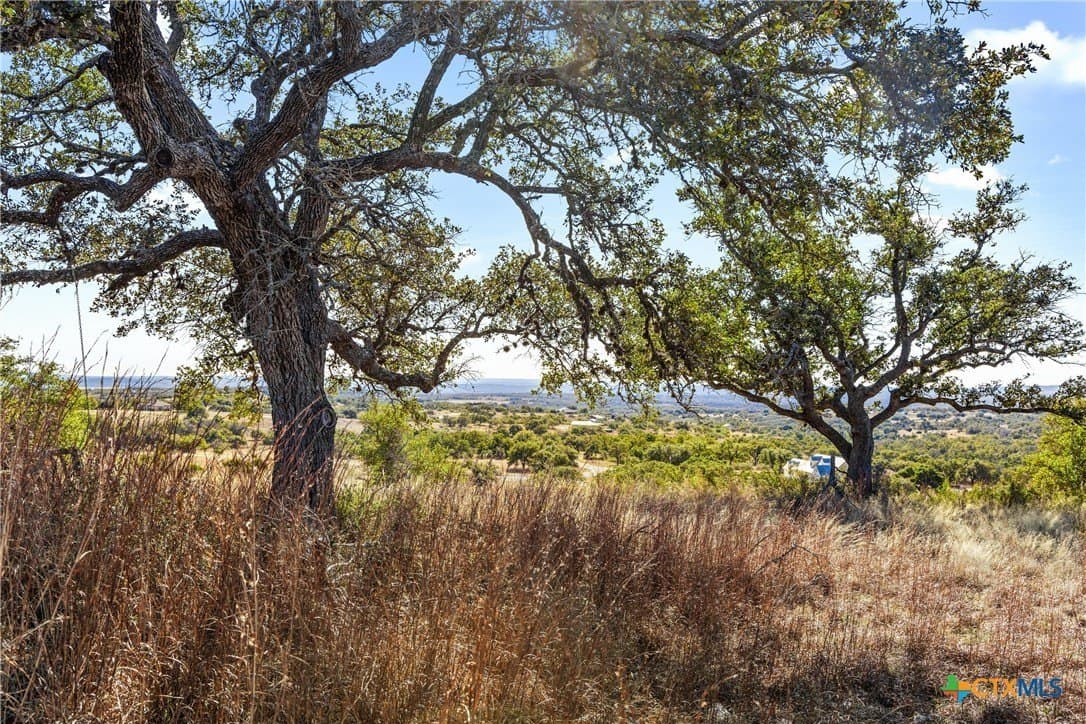 10.23 acres in Blanco County - photo 24