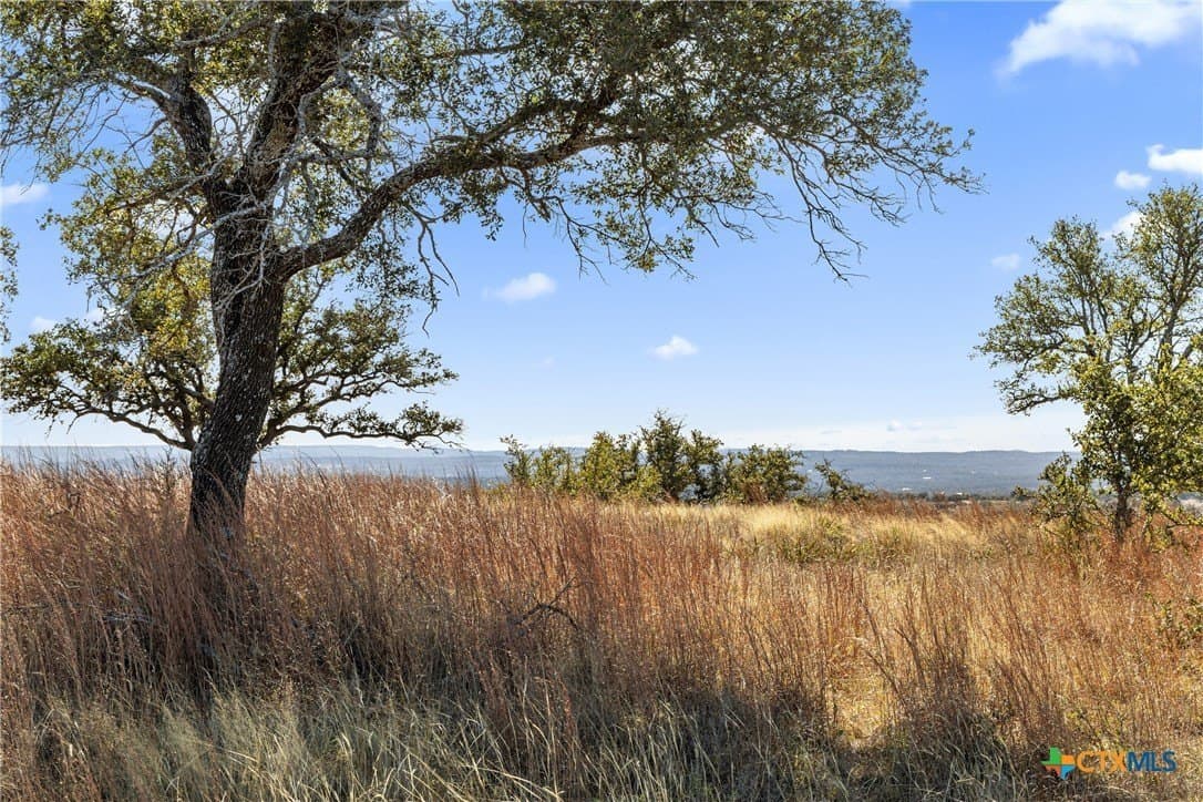 10.23 acres in Blanco County - photo 33