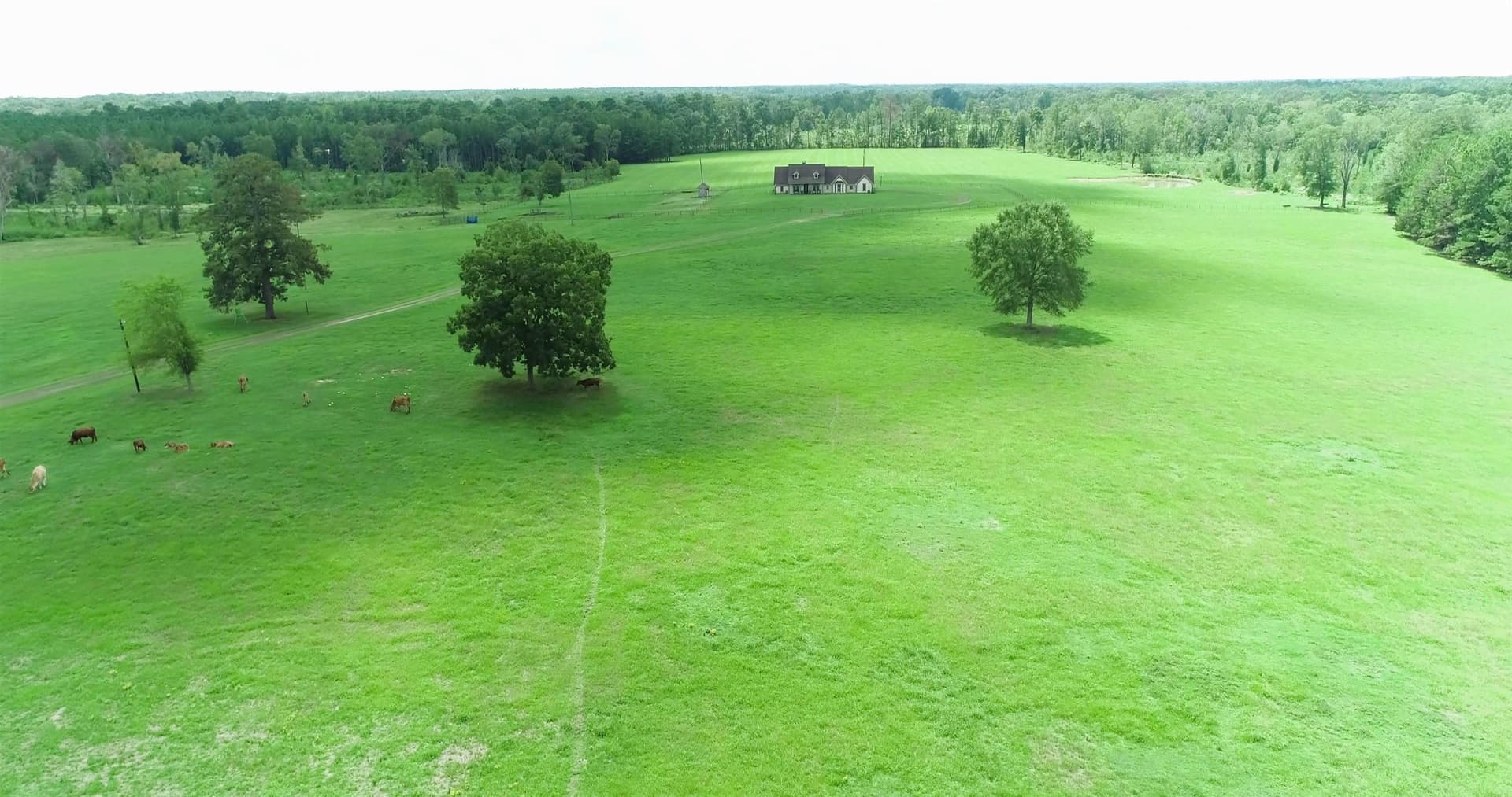 95.76 acres in Texas County - photo 23