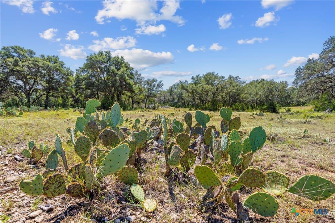 5.38 acres in Burnet County - photo 9