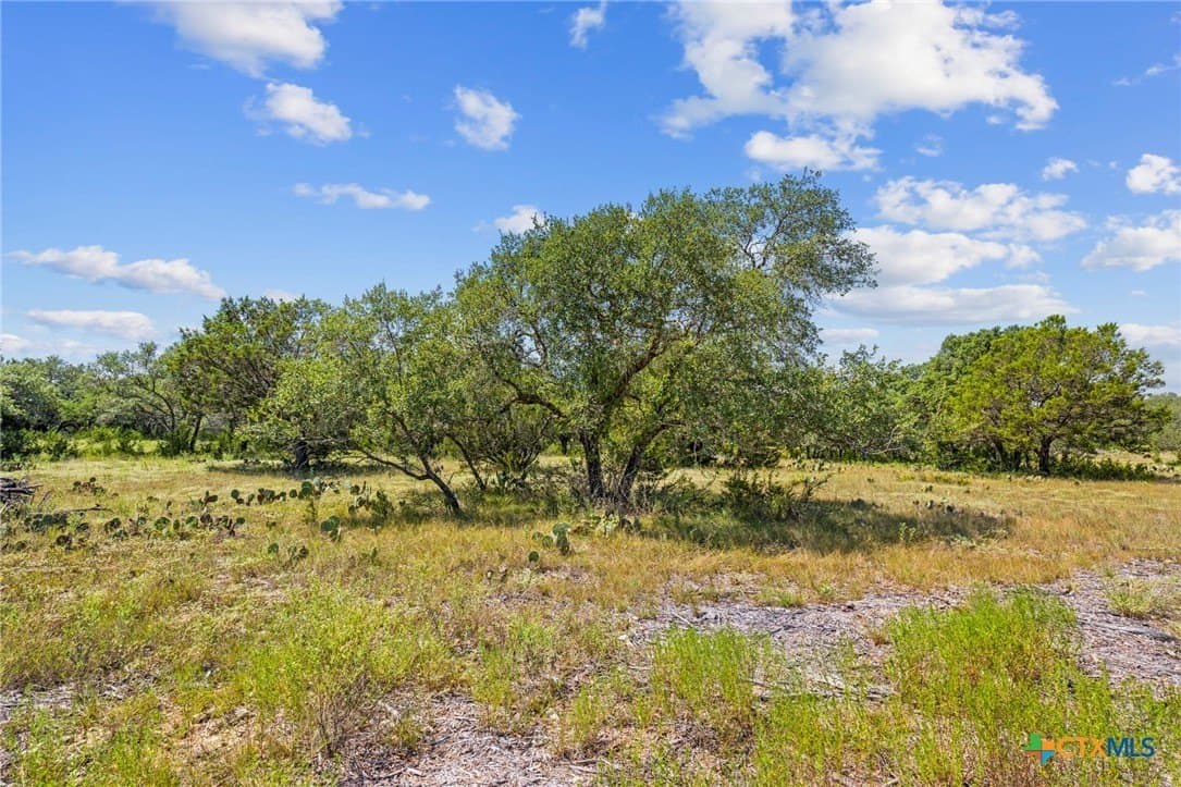 5.38 acres in Burnet County - photo 10