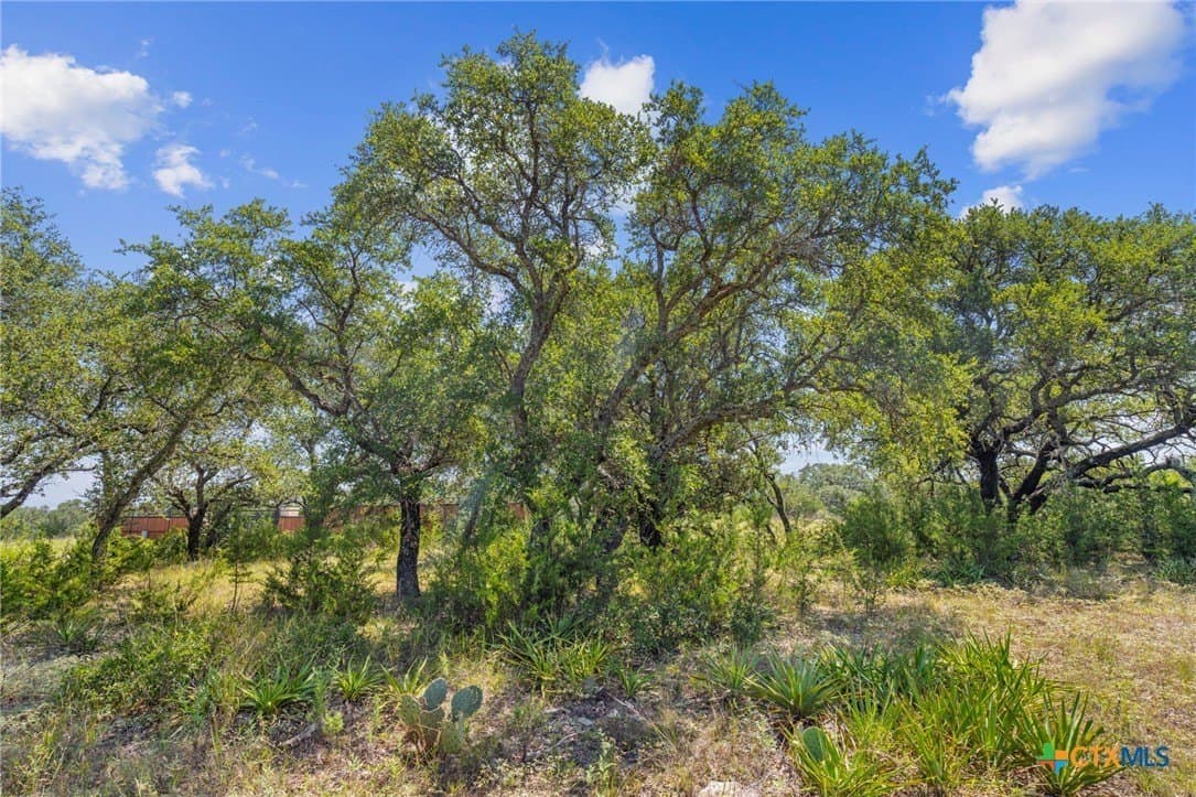 5.38 acres in Burnet County - photo 12