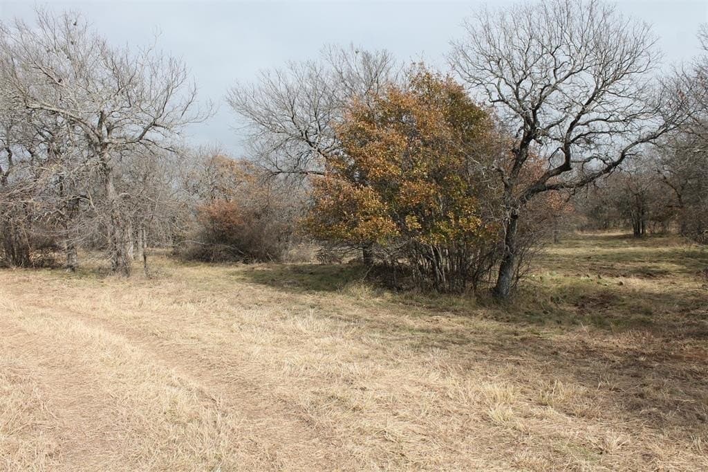 3.15 acres in Wise County - photo 3