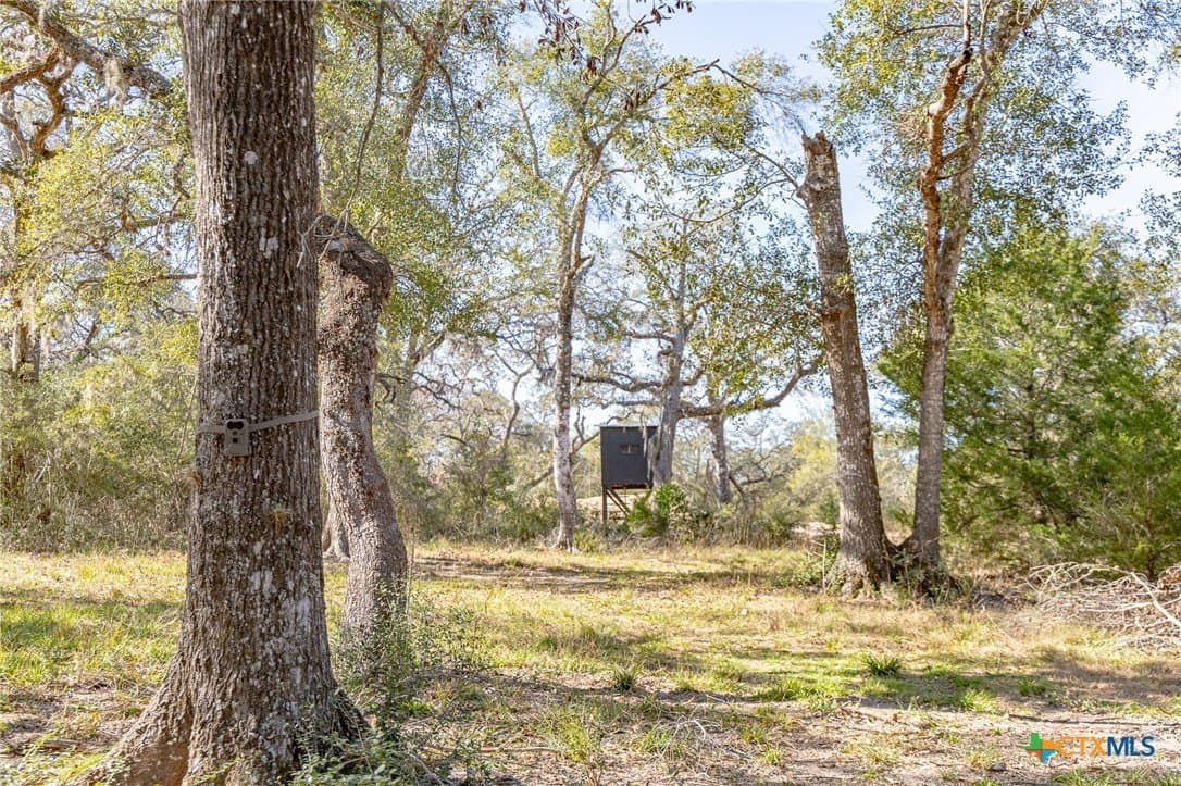 26.93 acres in Lavaca County - photo 31