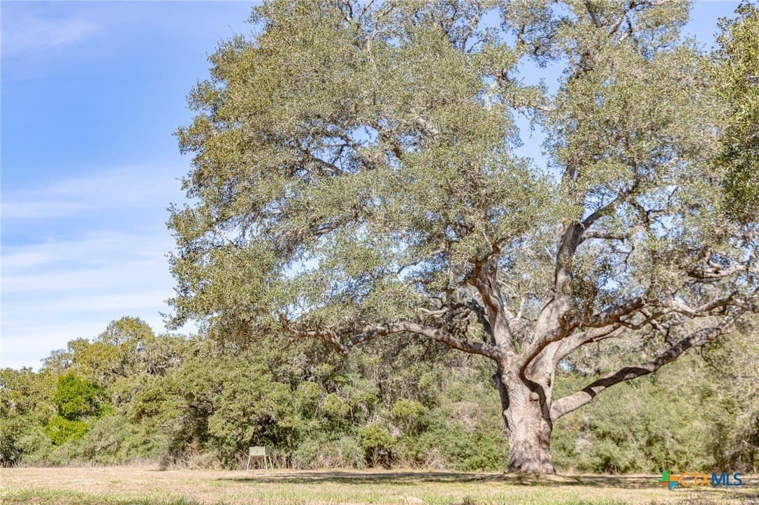 26.93 acres in Lavaca County - photo 30