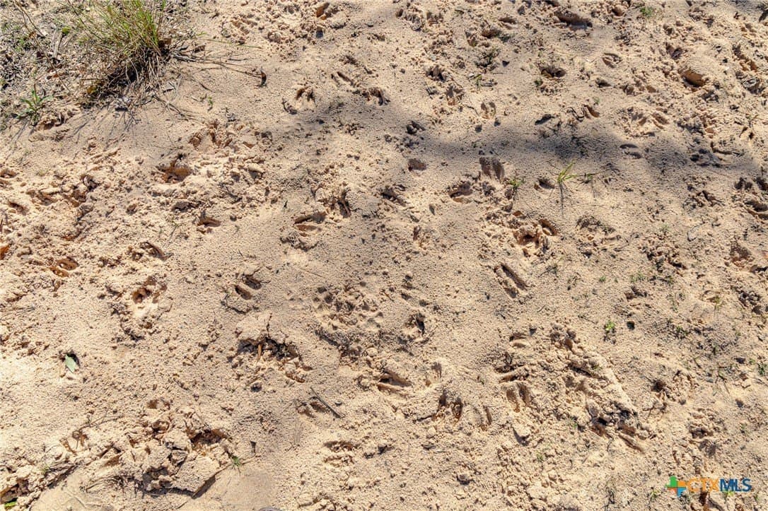 26.93 acres in Lavaca County - photo 24
