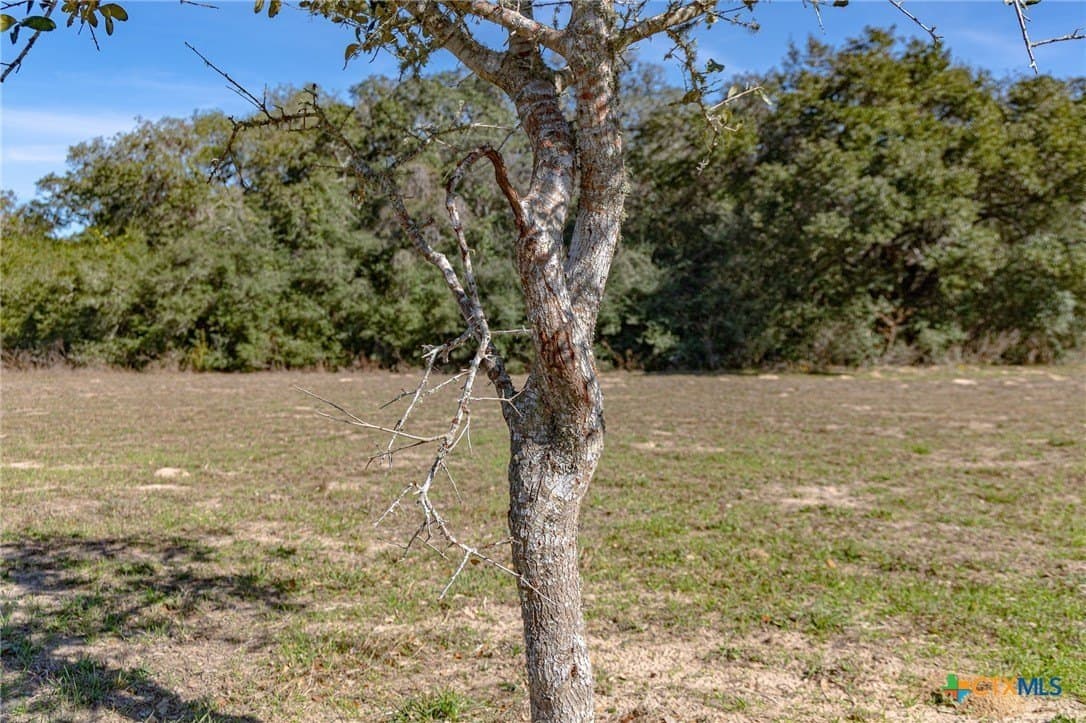 26.93 acres in Lavaca County - photo 27