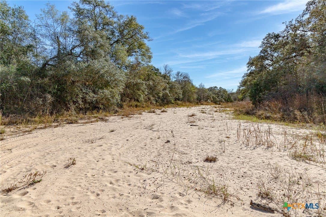 26.93 acres in Lavaca County - photo 23