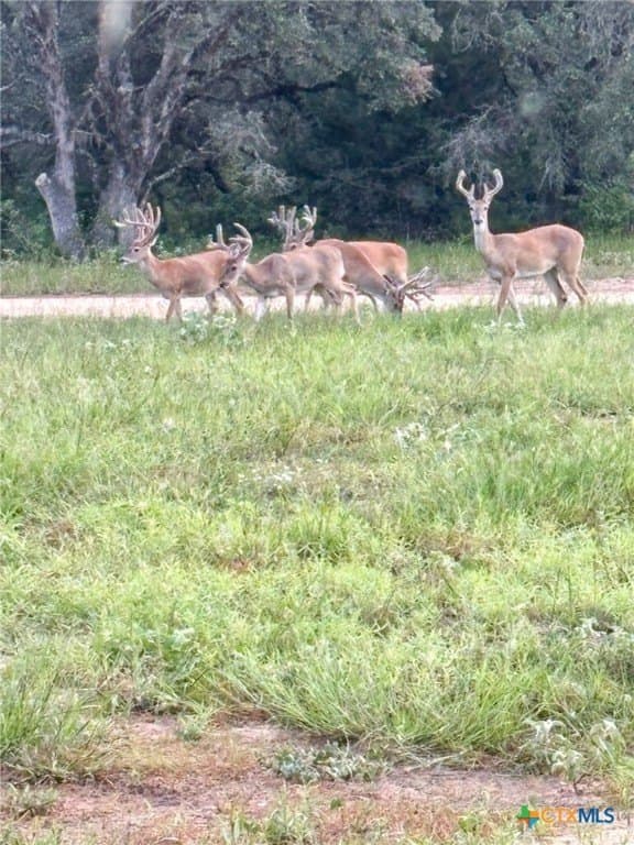 26.93 acres in Lavaca County - photo 28