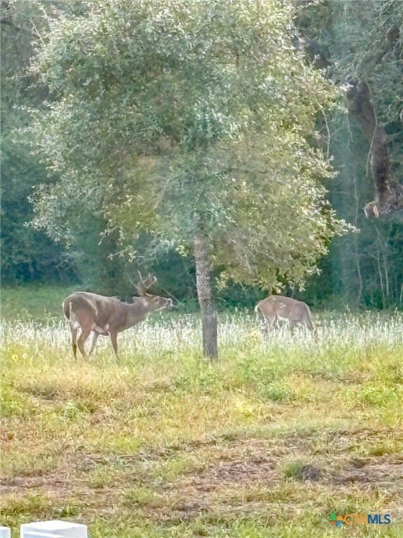 26.93 acres in Lavaca County - photo 21