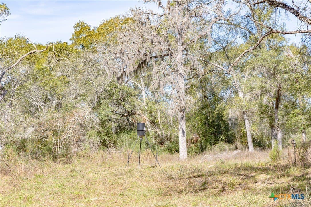 26.93 acres in Lavaca County - photo 26