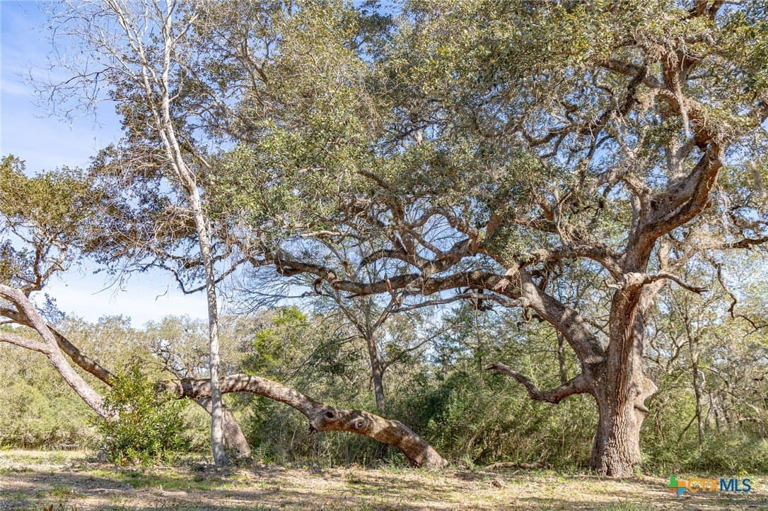 26.93 acres in Lavaca County - photo 20