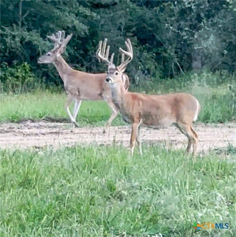 26.93 acres in Lavaca County - photo 29