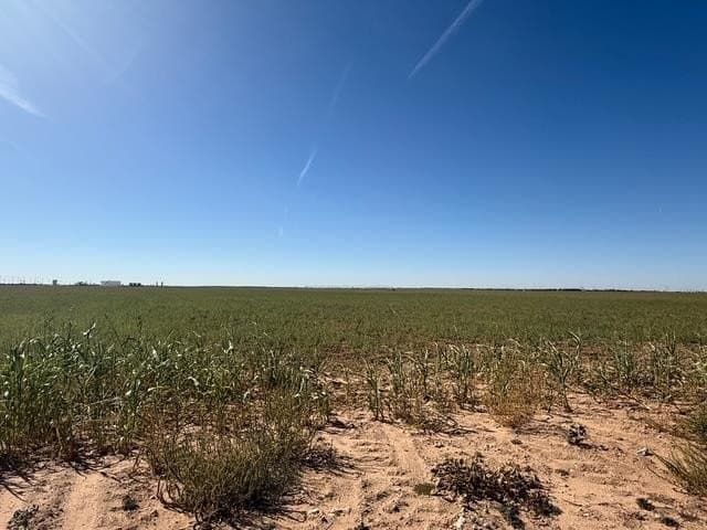 197 acres in Howard County - photo 23