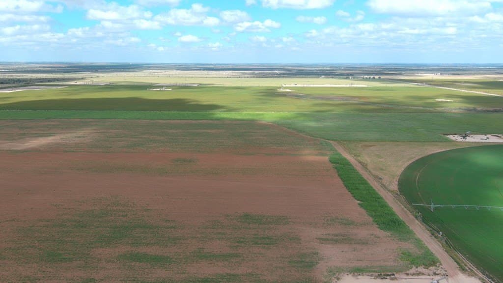 197 acres in Howard County - photo 6