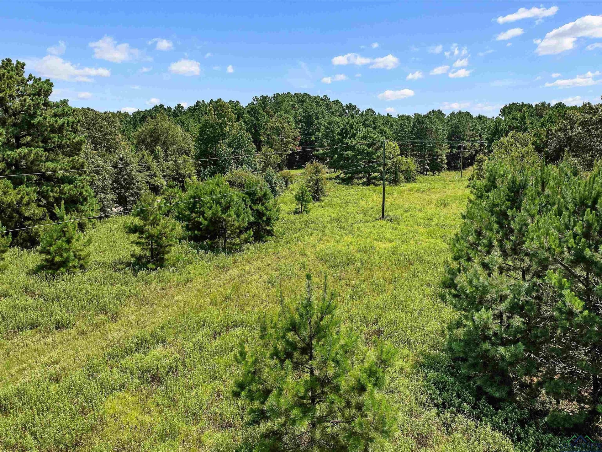 15 acres in Texas County - photo 4