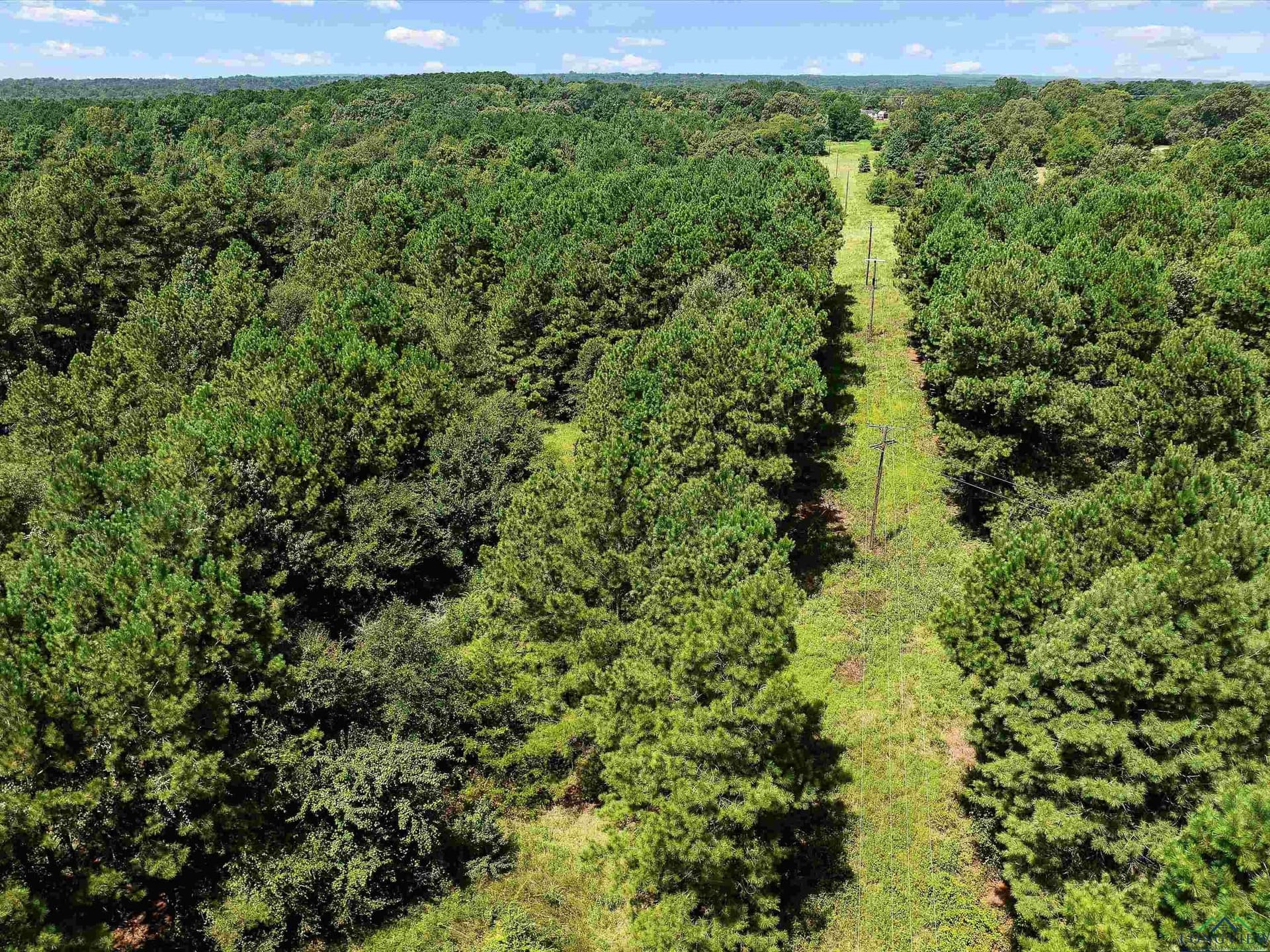 15 acres in Texas County - photo 14